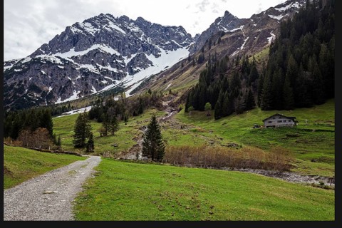 Gemsteltal, left behind Widderstein, right Berhardsgemstel-Alpe, Mittelberg, Kleinwalsertal,