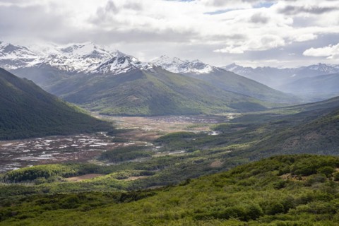 Wetland opposite Lago Deseado, Routa Y-85, Timaukel, Tierra del Fuego, Magallanes and Chilean