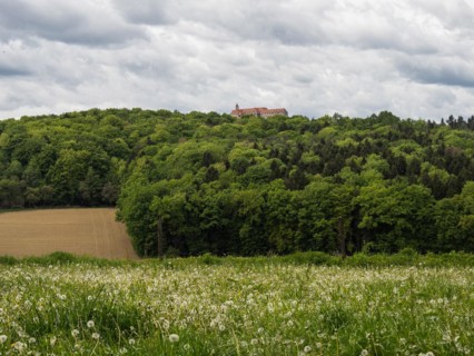Meadow and forest edge, arable land, Riegersburg Castle in the background, near Riegersburg,