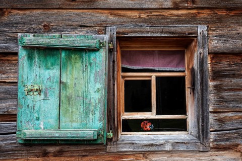 Window with shutter, Naturalpe Gemstel-Schoenesboden-Alpe, Gemsteltal, Mittelberg, Kleinwalsertal,