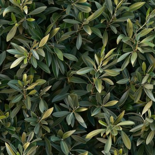 Seamless texture of olive tree branches and leaves AI generated