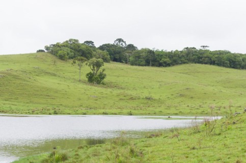 Landscape of the gaucho mountain range, Cambara do sul, Rio Grande do sul, Brazil, South America