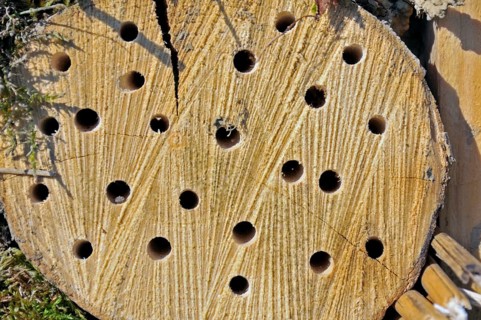 Nesting aid for wild bees and other insects with wooden logs, wild bee nesting aid, insect nesting