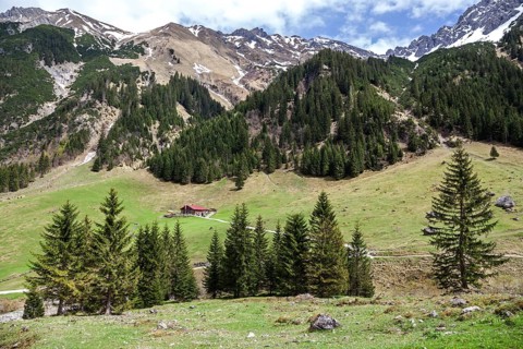 Gemsteltal, centre of Naturalpe Gemstel-Schoenesboden-Alpe, Mittelberg, Kleinwalsertal, Vorarlberg,