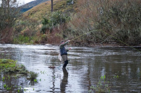 Fisherman fly fishing rainbow trout on mountain in beautiful scenery
