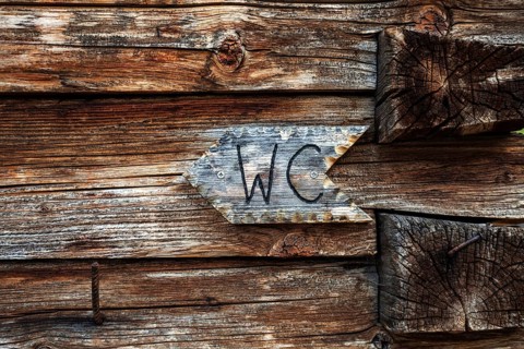 WC sign on the wooden wall of the Naturalpe Gemstel-Schoenesboden-Alpe, Gemsteltal, Mittelberg,