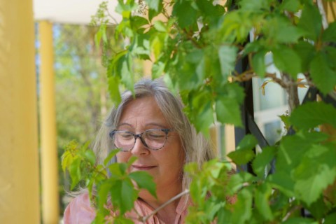 White-haired woman with glasses behind an ivy looking at the leaves smiling