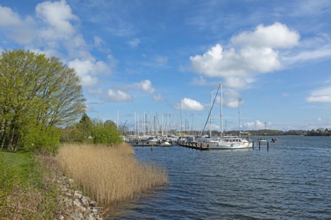 Marina, Oat, herring fishing, Kappeln, Schlei, Schleswig-Holstein, Germany, Europe