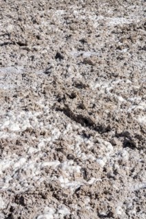 Salt structure, Laguna Chaxa Park, San Pedro de Atacama, Antofagasta, Chile, South America
