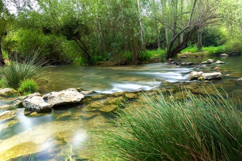 Waterfall of a mountain river with lush vegetation silk effect long exposure photography