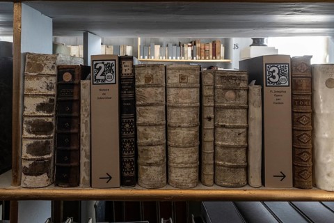 Anna Amalia Library, Weimar, Thuringia, Germany, Europe