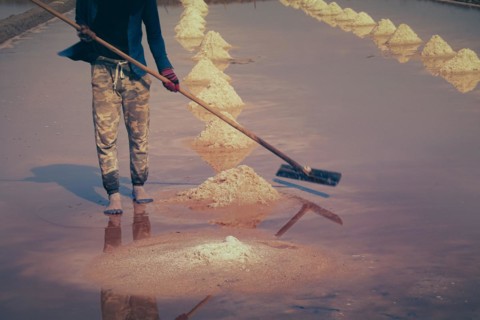 Low section of a khmer worker manually gathering salt into rows and heaps using a long wooden tool