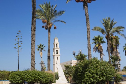 St-Peter's Church through Phoenix dactylifera, Date palm trees, Abrasha Park, Jaffa, Israel, Asia