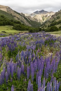 Mountain range along the Rio Blanco, Carretera Austral, Aysen, Chile, South America