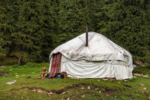 Yurt, Terskey Ala Too, Kyrgyzstan, Asia