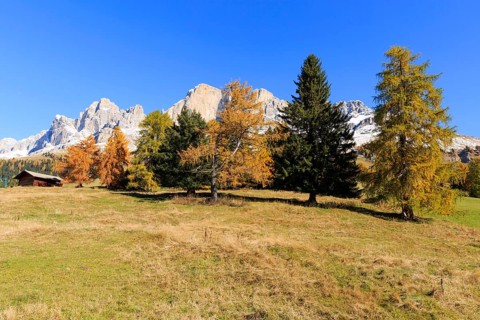 Mountain slopes with conifers and autumn trees under a bright blue sky, Italy, Alto Adige, Bolzano
