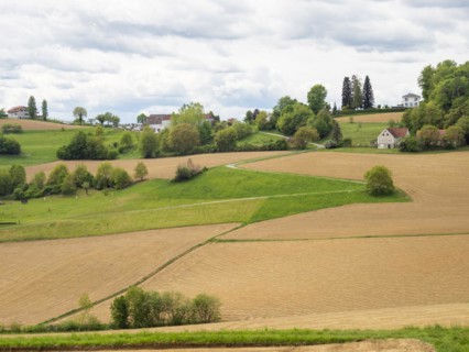 Field path leads through arable land, agricultural land, near Riegersburg, Styrian volcanic region,