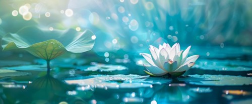 Lotus flower is floating on water. Concept of meditation, serenity, spirituality and enlightenment,