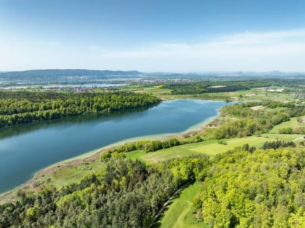 Aerial view of Mindelsee, a glacial tongue lake on the Bodanrueck, on the horizon on the left the