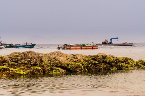 Seascape of large boulder covered with green algae with three fishing boats in the sea and a dull
