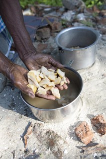 Women's hands showing pieces of manioc root, Kerala, India, Asia