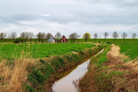 Drainage ditch and two lonely houses between Ditzum and Pogum, view in north direction, behind Ems