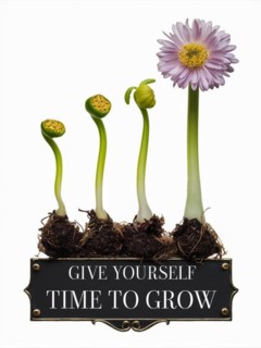 Flower growth stages with motivational message on a plain background, AI generated