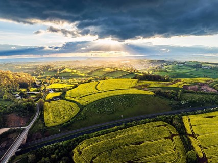 Sunset of Rapeseed fields and Farms from a drone, Torquay, Devon, England, United Kingdom, Europe