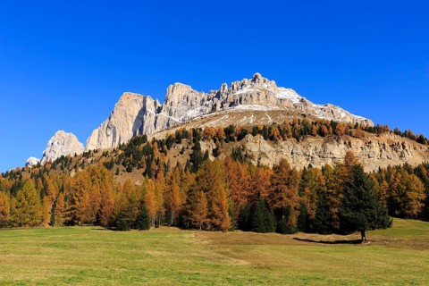 Massive rock formations above a grassland with autumnal trees, Italy, Alto Adige, Bolzano province,