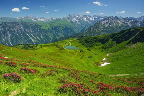 Alpine rose blossom, panorama from Fellhorn over Schlappoldsee and Fellhornbahn mountain station to
