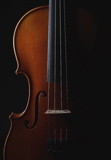A violin shimmering in the subdued light, the details emphasise the elegance of the instrument