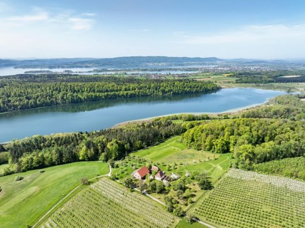 Aerial view of Lake Mindelsee, a glacier tongue lake on the Bodanrueck, on the horizon on the left