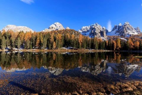 The colourful scenery of an autumnal forest next to a mirror-smooth lake in the sunlight, Italy,