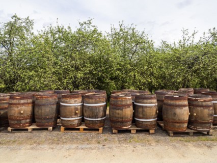 Wooden barrels, near Riegersburg, Styrian volcanic region, Styria, Austria, Europe