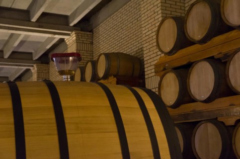 Oak barrels for wine aging in an underground cellar in Vale dos Vinhedos