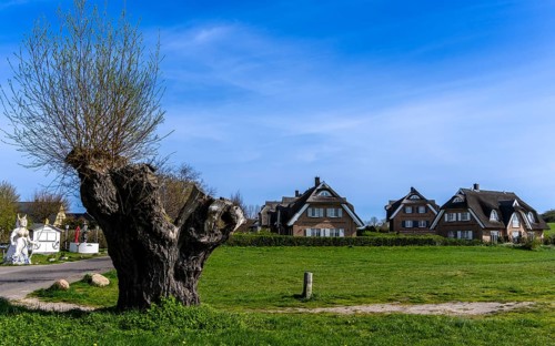 Holiday home development on the Baltic Sea beach, Ruegen, Mecklenburg-Vorpommern, Germany, Europe