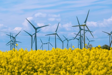 Wind turbines in the Luetetsburg wind farm behind a rape field on the North Sea coast, Hagermarsch,