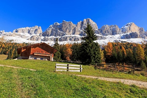 Wooden log cabin with a bench in front of it, surrounded by autumn coloured mountains, Italy, Alto