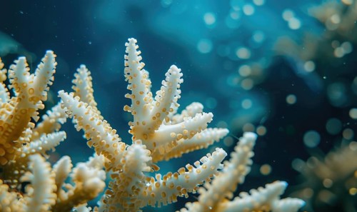 Coral bleaching due to pollution and rising sea temperatures AI generated