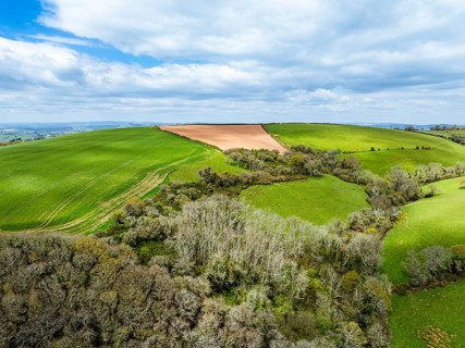 Forest, Farms and Farms over Long Wood and River Dart from a drone, Dartmouth, Kingswear, Devon,