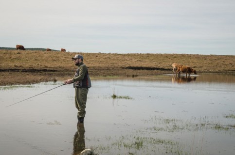 Sport fisherman fishing in lake on cloudy day, Cambara do sul, Rio Grande do sul, Brazil, South
