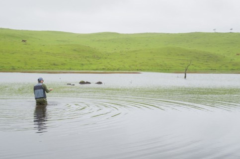 Black bass fisherman fishing with flyfishing, Cambara do sul, Rio Grande do sul, Brazil, South