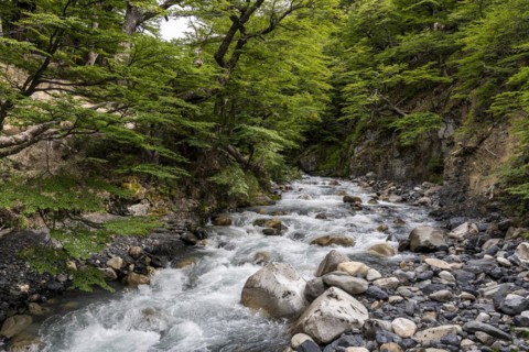 Meltwater stream, Base of Torres del Paine Hike, Torres de Paine, Magallanes and Chilean