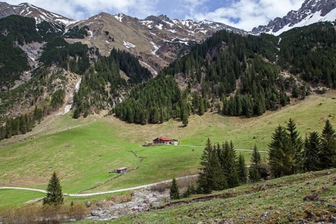 Gemsteltal, centre of Naturalpe Gemstel-Schoenesboden-Alpe, Mittelberg, Kleinwalsertal, Vorarlberg,