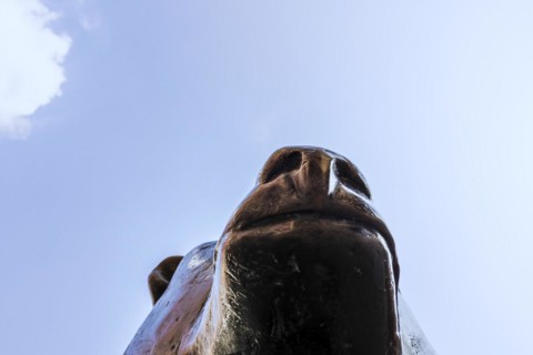 Bear statue, bronze sculpture on Boersenplatz, Frankfurt, Hesse