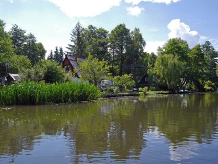 Spreewald, biosphere reserve, Brandenburg, Germany, Europe
