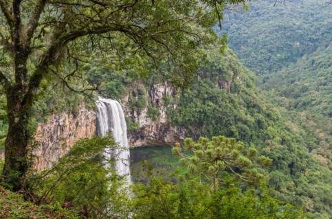 Beautiful view of Caracol Waterfall (Snail Waterfall), Canela- Rio Grande do Sul, Brazil, South