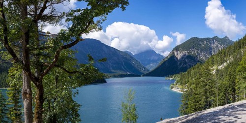 Plansee and Ammergau Alps, behind it the Thaneller, 2143m, Lechtal Alps, Tyrol, Austria, Europe