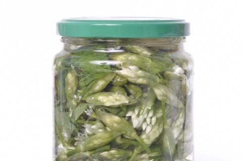 Wild garlic flower bud in lacto fermented