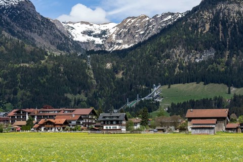 Common dandelion (Taraxacum), flowering dandelion field, behind ski jumping arena ORLEN Arena